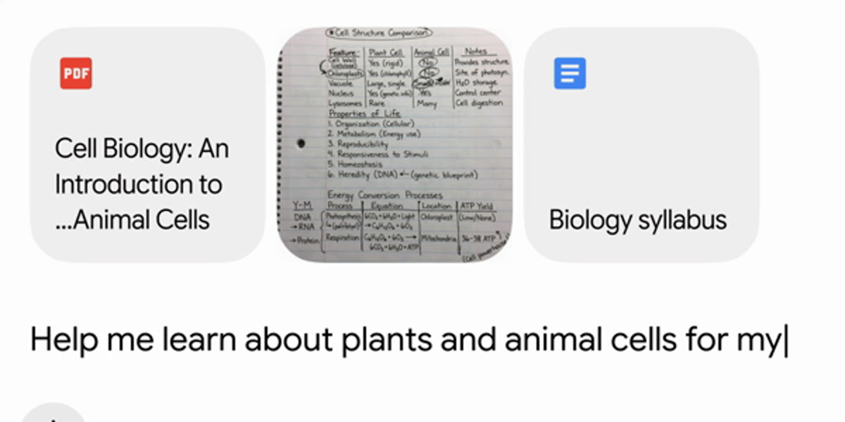 The Gemini app with three uploads attached: a Cell Biology PDF, a photo of handwritten notes on cell structure, and a biology syllabus, with the prompt Help me learn about plants and animal cells for my