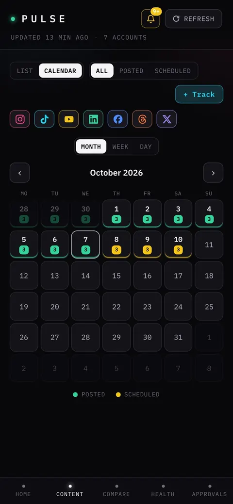 Our posting calendar: reels posted to seven platforms every day